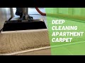Cleaning Vlog #1 / Deep cleaning apartment carpet / Satisfying Carpet Cleaning