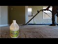 Carpet cleaning Extreme Pet stain Removal - Carpet cleaning ride along