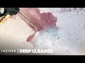 How A Professional Steam Cleaner Removes Wine Stains From Carpets | Deep Cleaned