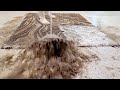 Washing a shaggy rug with different pile lengths | pressure washing | carpet cleaning satisfying |