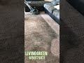 Amazing results. Living green carpet cleaning